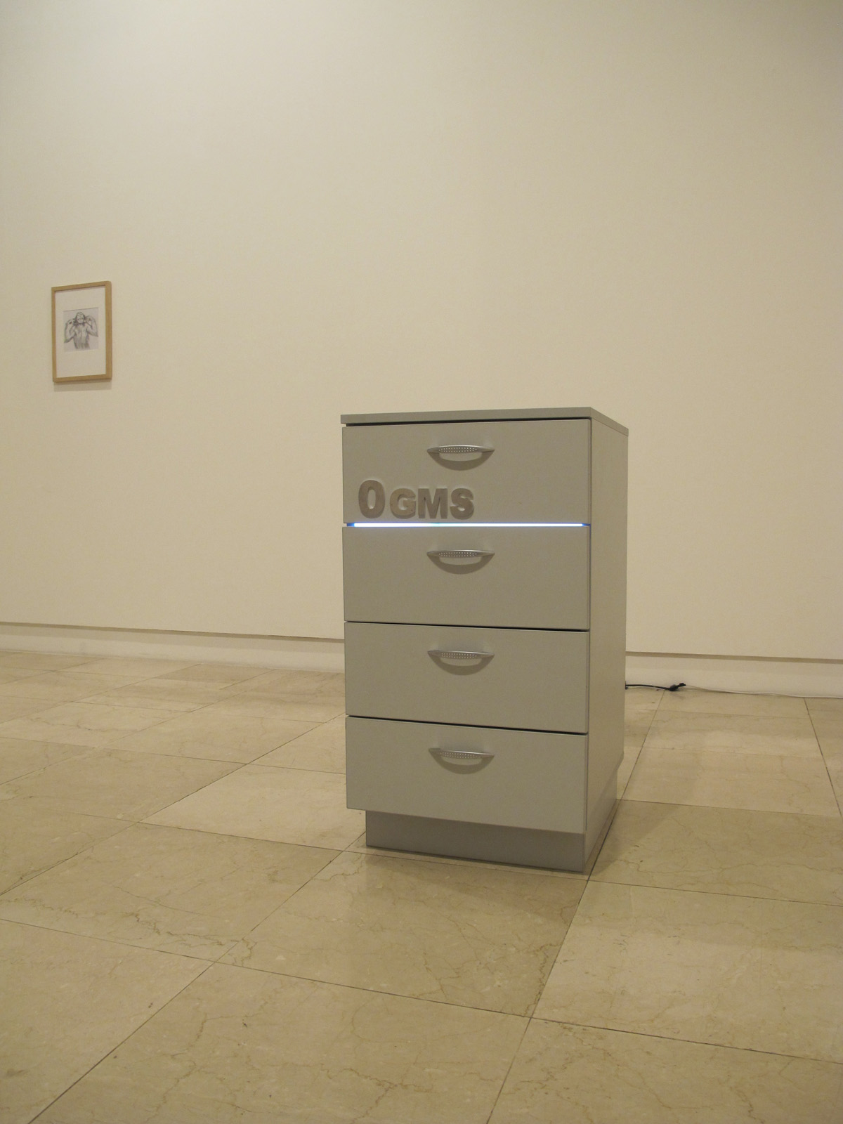 0gms Cabinet 1, 2011. Installation view, Hilger Contemporary, Vienna.